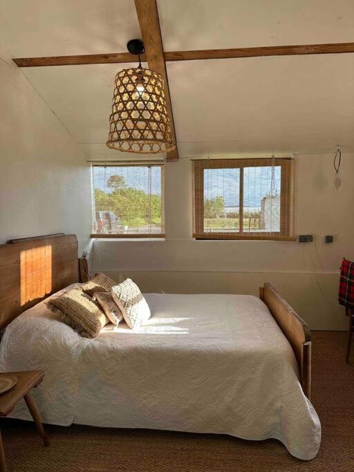 Mimizan-Plage Cosy Cabane Boise Solaire, Balneo Bath Et Toilette Seche A La Ferme מראה חיצוני תמונה
