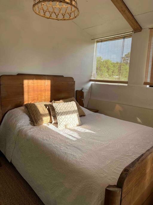 Mimizan-Plage Cosy Cabane Boise Solaire, Balneo Bath Et Toilette Seche A La Ferme מראה חיצוני תמונה